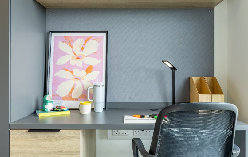 Premium Plus En Suite, Ashlin House, Bandon Road Cork, University College Cork, Cork - Image 1